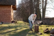 Is Stump Grinding Necessary After…